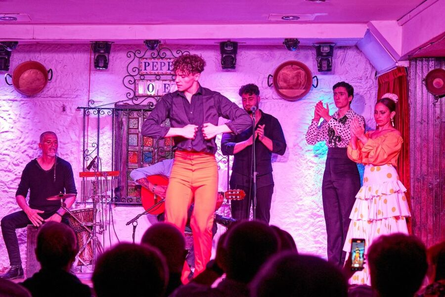 Torremolinos: Flamenco Show with Drinks - Who this is best for, and who should think twice