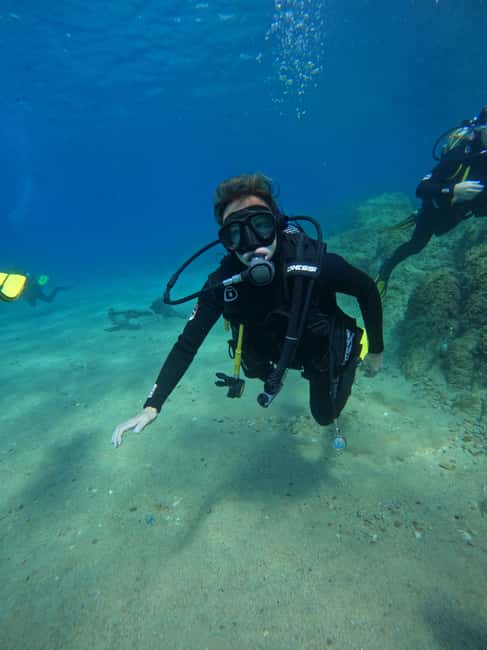 Tossa de Mar: PADI Discovery Scuba Diving in Costa Brava - What you’re likely to see: seahorses, octopus, cuttlefish, and lots of small life
