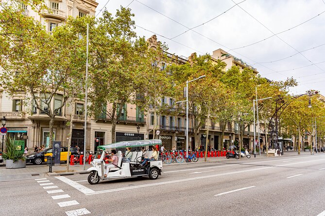 Tour Welcome Barcelona with Local Guide in Eco Tuk Tuk Private - Plaça de España, Old Port, and Ciutadella Park: More Than Pretty Stops