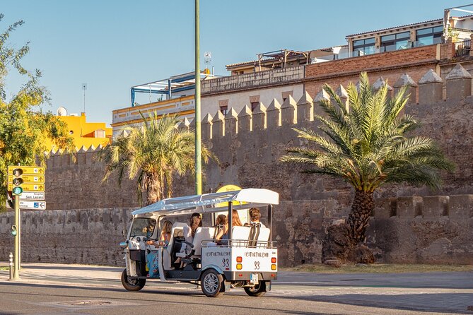 Tour Welcome Seville with Local Guide in Eco Tuk Tuk Private - Enter Seville Fast, Without Fuss