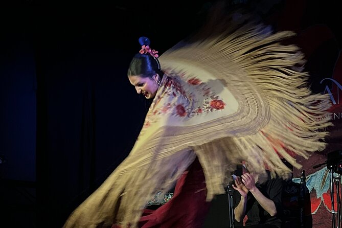 Traditional Flamenco Show at Tablao Casa Ana - Practical tips for a smooth Granada flamenco night