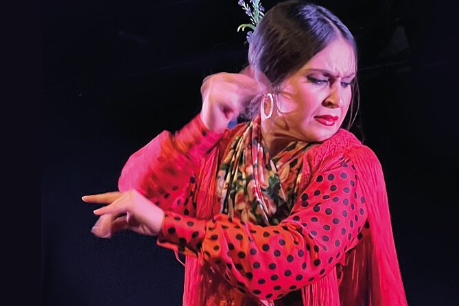 Traditional Flamenco Show at Tablao Casa Ana - Who should book this show, and who might want a different style?