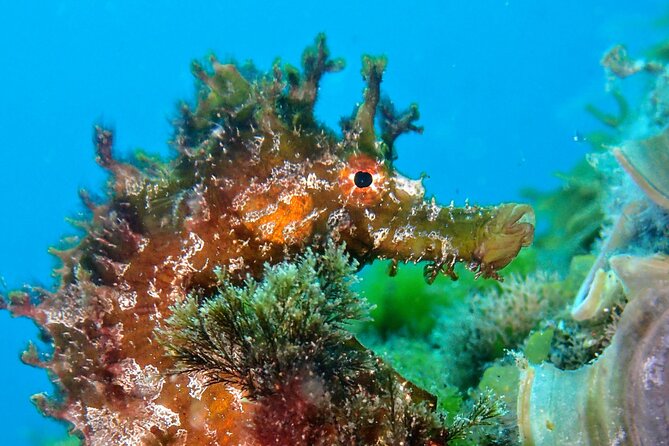 Try Scuba Diving with 2 Ocean Dives - The Break on the Surface, Why It Matters More Than You Think
