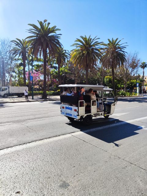 Valencia: 2-hour City Highlights Guided Tour by Tuk Tuk - Group Size Reality: Private Does Not Always Mean One Tuk-Tuk