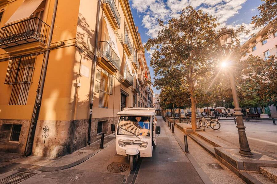 Valencia: 2-hour City Highlights Guided Tour by Tuk Tuk - Why a Tuk-Tuk Tour Works So Well in Valencia