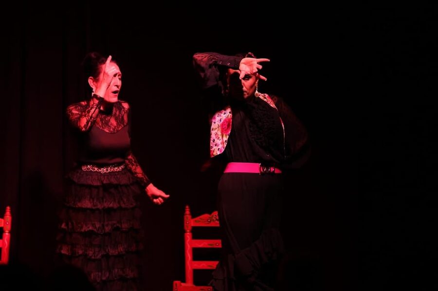 Valencia: Authentic Flamenco Show Entry Ticket - Where You Go, What You Do on Arrival, and Why Seating Matters
