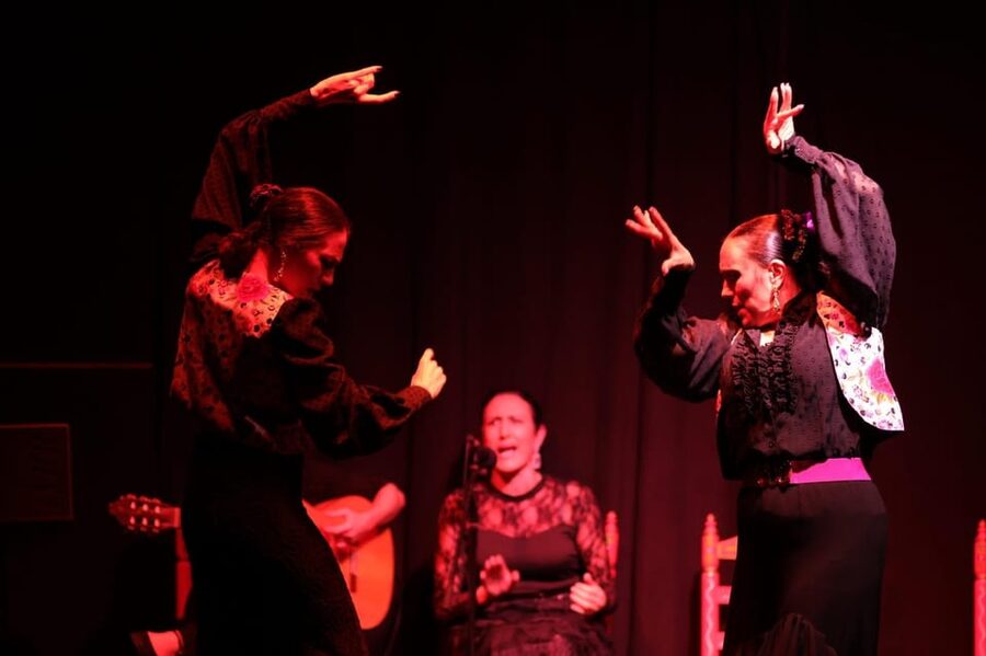 Valencia: Authentic Flamenco Show Entry Ticket - What Happens in the Show: Guitar, Singing, and Dance in One Tight Hour