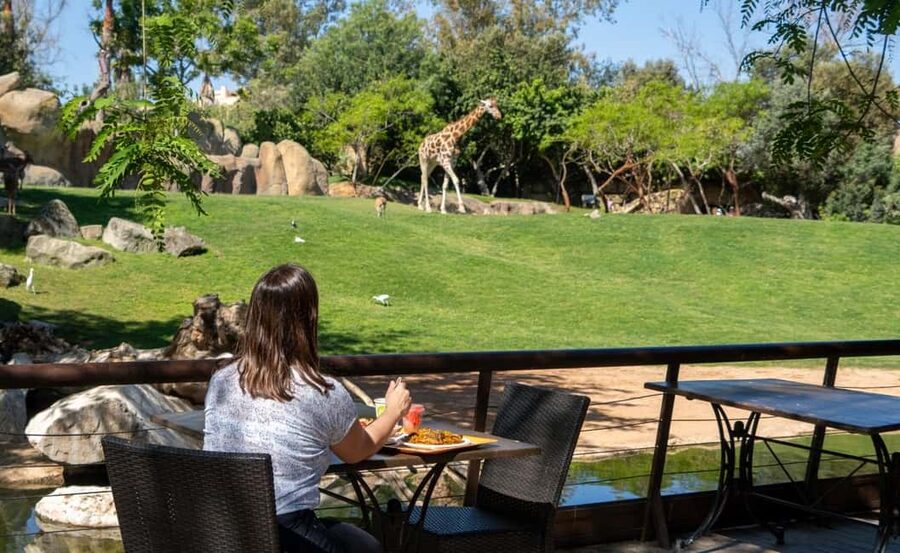 Valencia: Bioparc Valencia Admission Ticket - Kitum Cave and the underground world you can’t see at most zoos