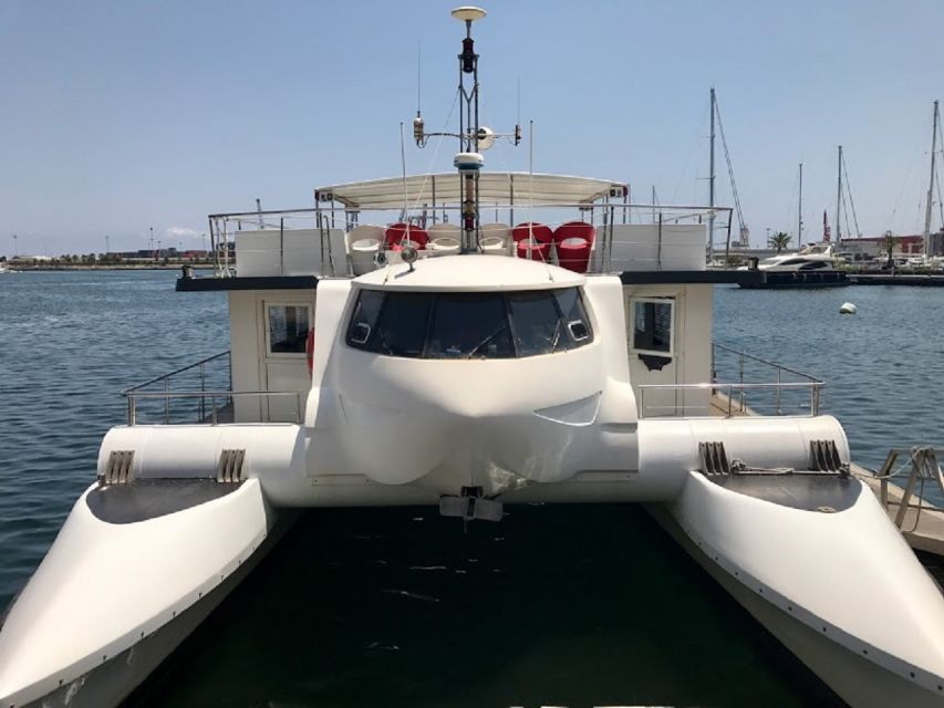 Valencia: Catamaran Cruise, Paella Lunch and Swim Stop - Key points before you go