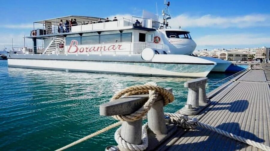 Valencia: Catamaran Cruise, Paella Lunch and Swim Stop - Timing, Weather, and What to Bring for Comfort