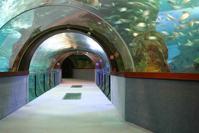 Valencia City Excursion - From Albir, Benidorm & Calpe - Valencia Day Trip Value: A Big City Without the Big Planning
