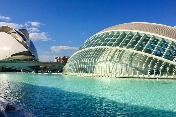 Valencia City Excursion - From Albir, Benidorm & Calpe - Optional Walking Tour for Around 8 Euros: Worth It for First-Timers