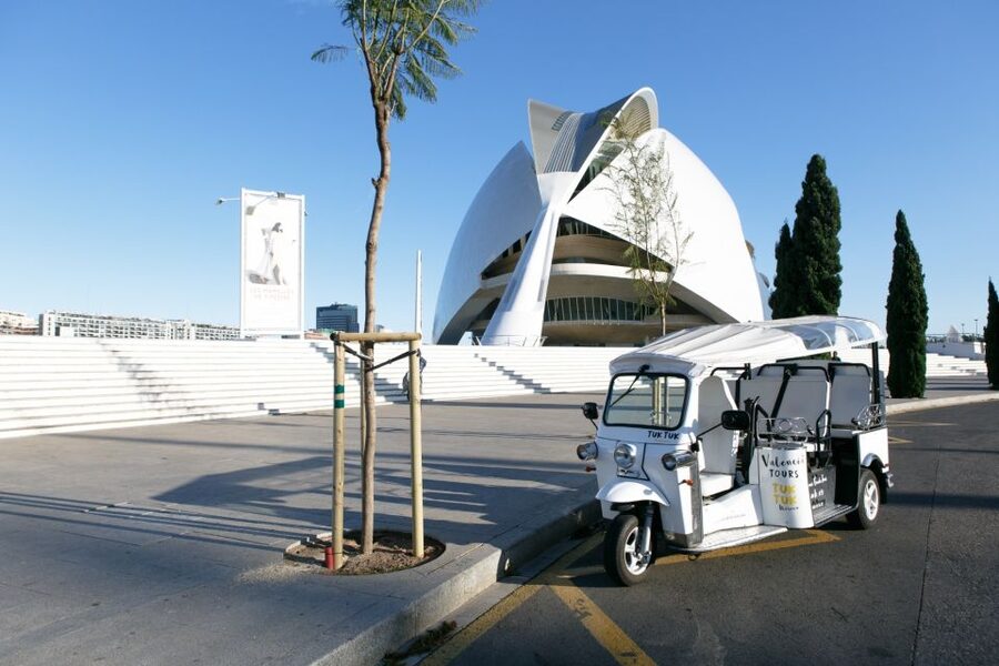 Valencia: Complete Tuk-Tuk Tour Around the City - Should you book this Valencia tuk-tuk tour?