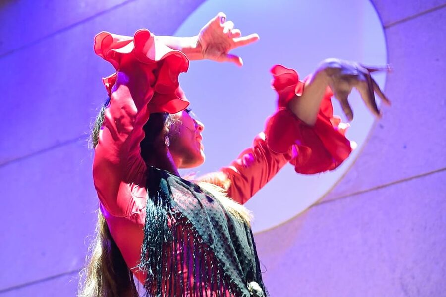 Valencia: La Linterna Flamenco Show - Price and value: what $26 gets you in a close-up flamenco setting