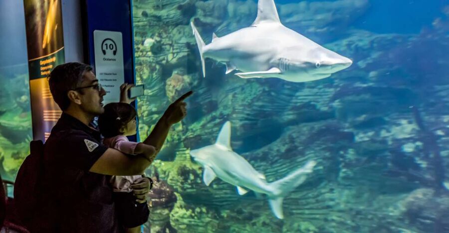 Valencia: Oceanogràfic Entry Ticket - Ticket coverage and the time-slot rule that affects your day