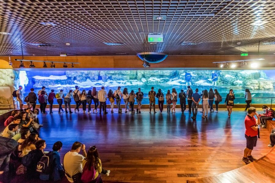 Valencia: Oceanogràfic Entry Ticket - The underwater restaurant, plus where breaks actually work
