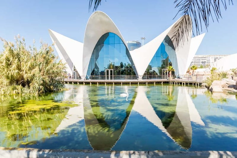 Valencia: Oceanogràfic, Hemisfèric & Science Museum Combo - Hemisfèric cinema: Calatrava’s 3D show plus smart language checks