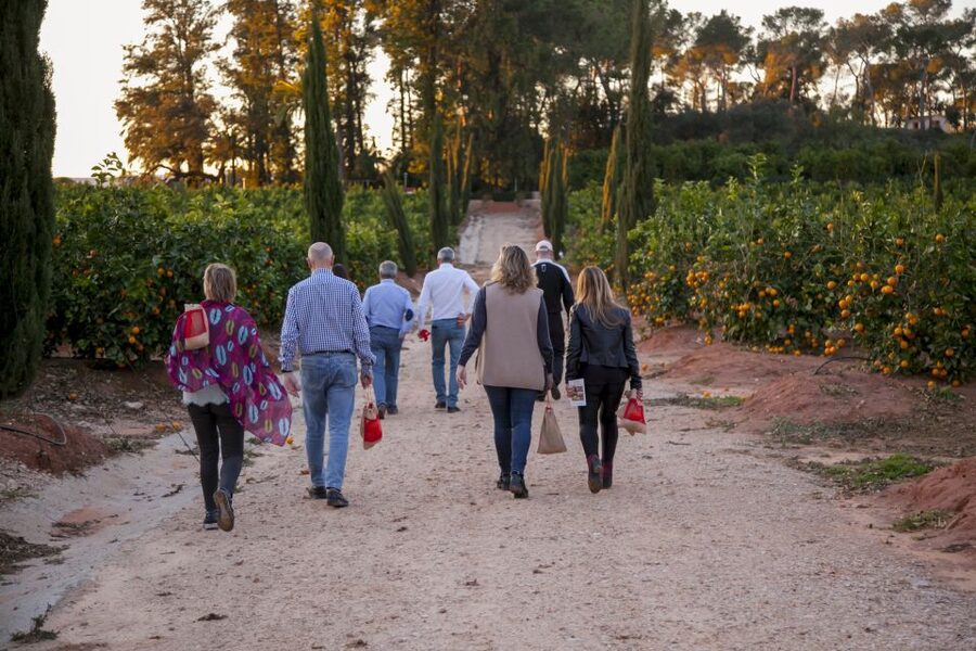 Valencia: Orange Farm and Orchard Trip with Tastings - The quick, practical take: what you’ll actually do
