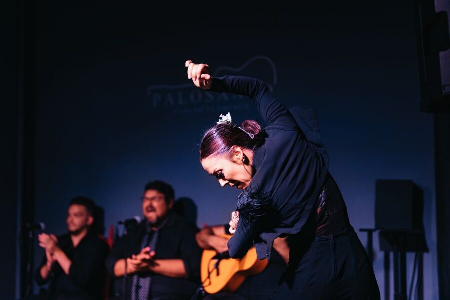 Valencia: Palosanto Flamenco Show Ticket - Key reasons to go