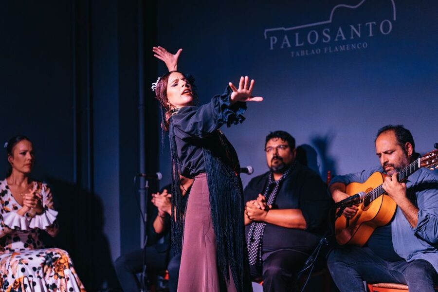 Valencia: Palosanto Flamenco Show Ticket - Final verdict: should you book Palosanto Flamenco