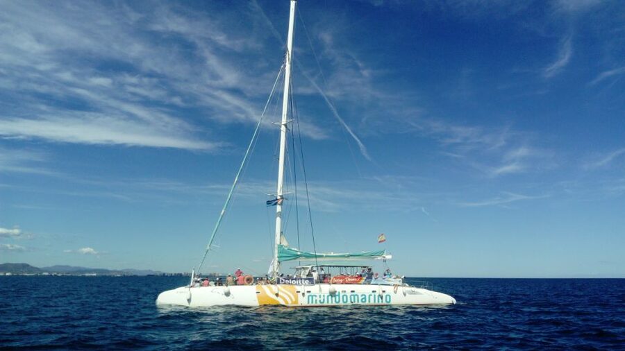 Valencia: Sailing Catamaran Cruise with Valencian Lunch - Onboard bar and drink reality: enjoy the included drink, then decide
