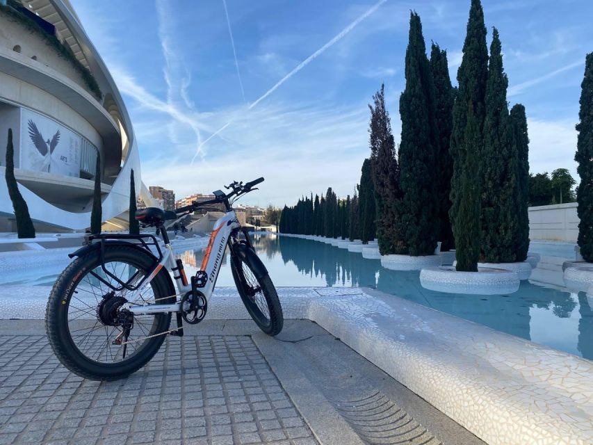 Valencia: Top 25 Highlights Guided Bike Tour - Russafa Streets: Street Art and a Real Neighborhood Vibe