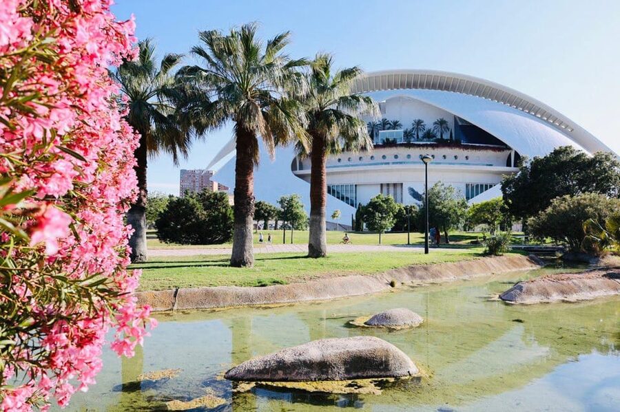 Valencia: Top 25 Highlights Guided Bike Tour - The Old Town UNESCO Part: Plazas, Cathedral Area, and Walk-Through Moments