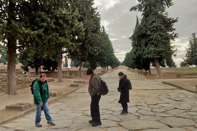 Visit to Italica Roman Ruins Tour tickets included - Santiponce Start: Turning Ruins Into Roman Life