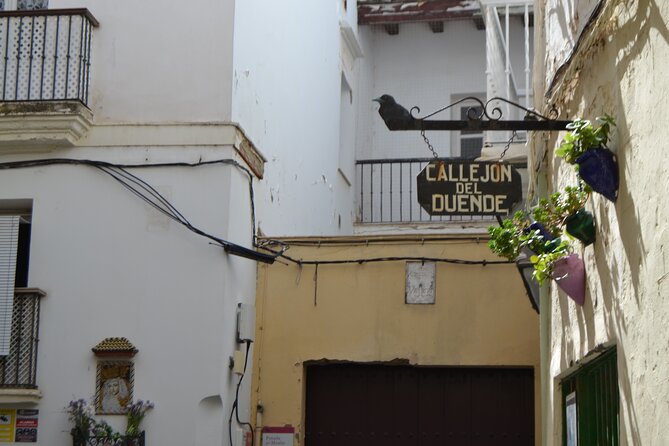 Walking Tour through Cádiz: Stories from the hand of a local guide - Plaza de la Mina and Plaza San Antonio: Squares for Photos and Real Details