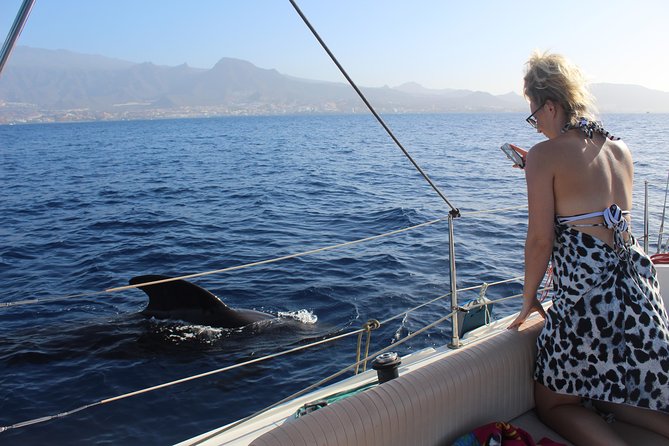 Whale and Dolphin Small Group Sailing from Tenerife South - Galatea and the Crew: What the Boat Experience Feels Like