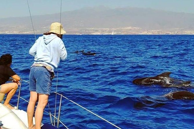 Whale and Dolphin Small Group Sailing from Tenerife South - Dolphins, Sea Turtles, and How Captains Keep You Moving