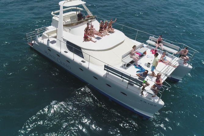 Whale and Dolphin Watching Catamaran with Transfer and Buffet - Key highlights worth planning around