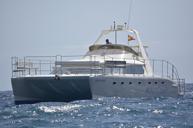 Whale and Dolphin Watching Catamaran with Transfer and Buffet - Puerto Colón start point, plus south Tenerife pickup on request