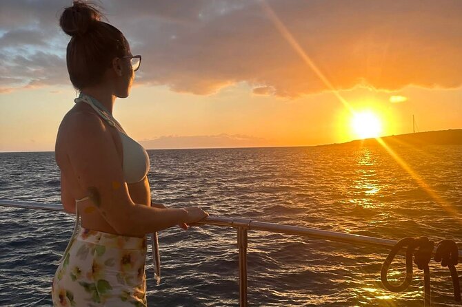 Whale and Dolphin Watching Catamaran with Transfer and Buffet - Swim and snorkel time: fun bonus, with variable conditions