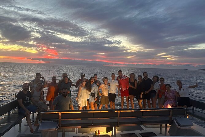 Whale and Dolphin Watching Catamaran with Transfer and Buffet - Weather, wildlife, and how to think about the odds