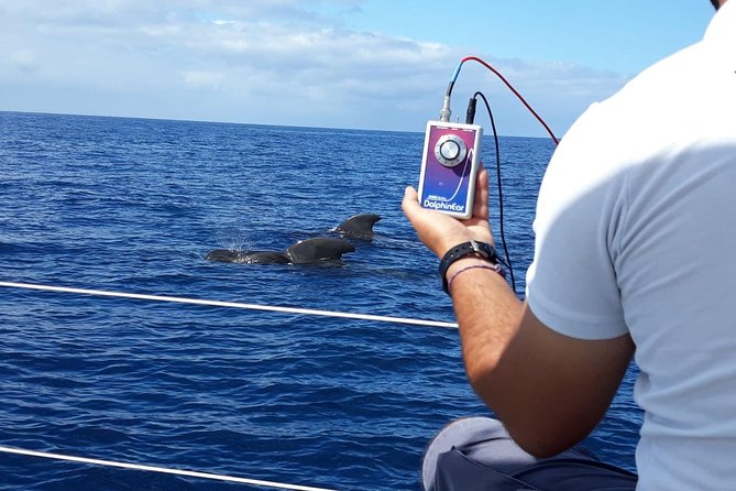 Whale and Dolphin Watching Sailing Boat with Drinks, Snacks and Swimming Time - The onboard food and drink setup, from champagne glass to lunch sandwiches