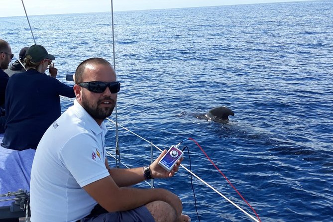 Whale and Dolphin Watching Sailing Boat with Drinks, Snacks and Swimming Time - The swim time: how to get the most out of the water window