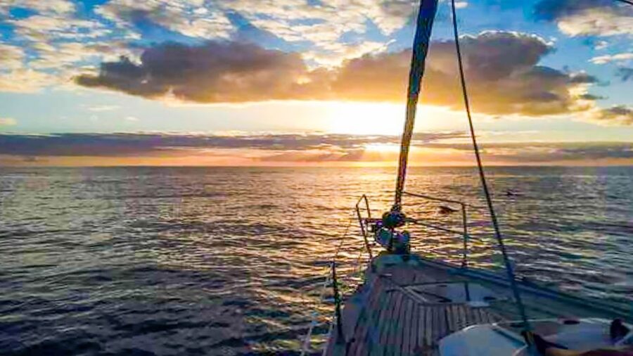Whale and Dolphin Watching Sailing Tour – Los Gigantes (3H) - Who should book this Los Gigantes whale and dolphin sailing tour