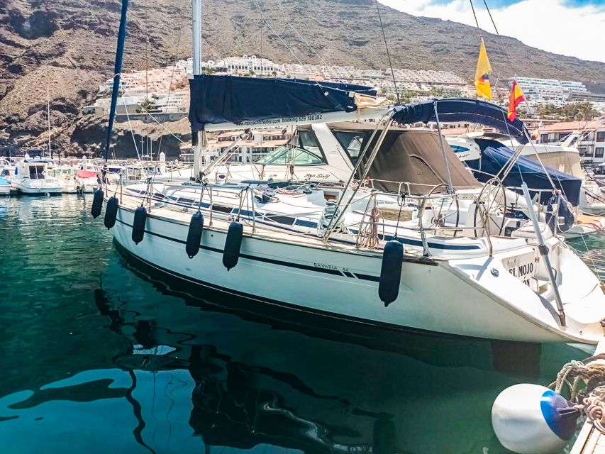 Whale and Dolphin Watching Sailing Tour – Los Gigantes (3H) - Los Gigantes cliffs: the 600-meter photo stop and why it matters