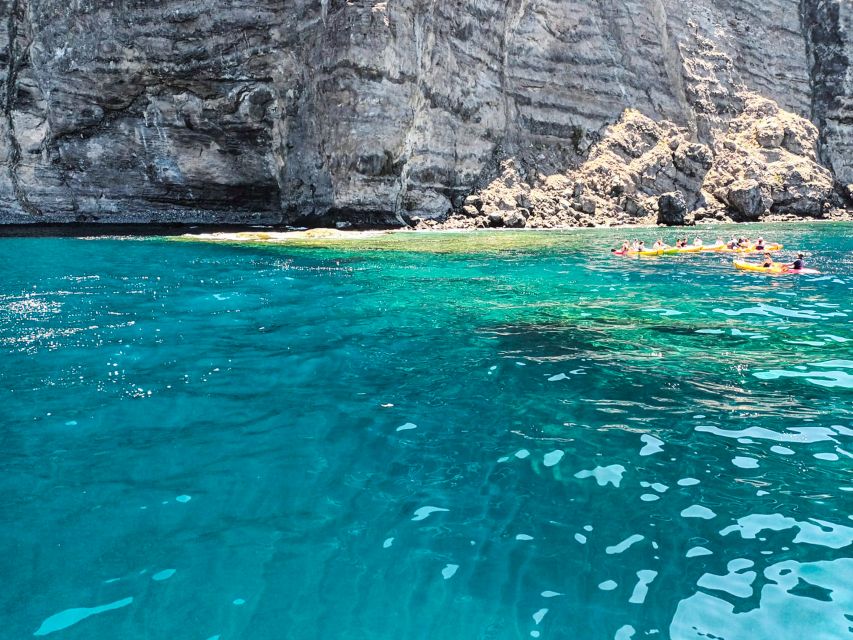 Whale and Dolphin Watching Sailing Tour – Los Gigantes (3H) - Meeting, timing, and what the 3 hours feels like on the water
