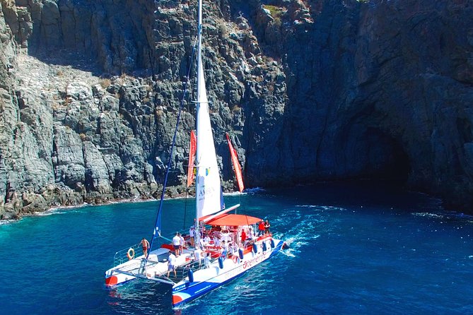 Whale watching and listening Eco-Catamaran Tour with Food Tasting - Stop 1 Puerto Colón Coast: The Swim, Snorkel, and That Whale-Listening Moment