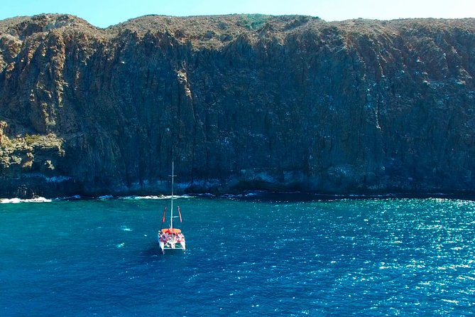 Whale watching and listening Eco-Catamaran Tour with Food Tasting - Food Tasting and Unlimited Drinks: Simple, Included, and Worth It