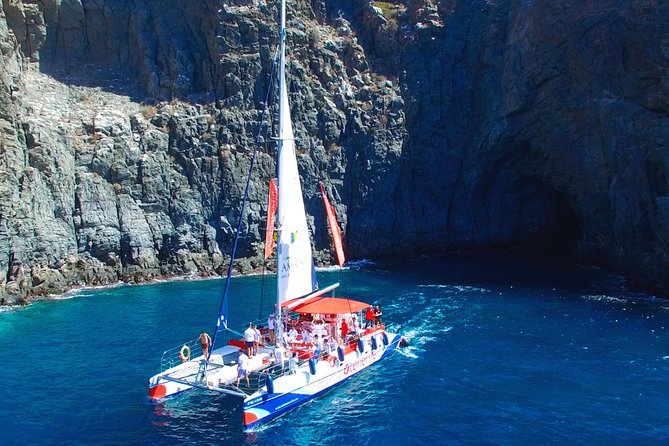 Whale watching and listening Eco-Catamaran Tour with Food Tasting - Crowds, Comfort, and How to Get a Better Deck Experience