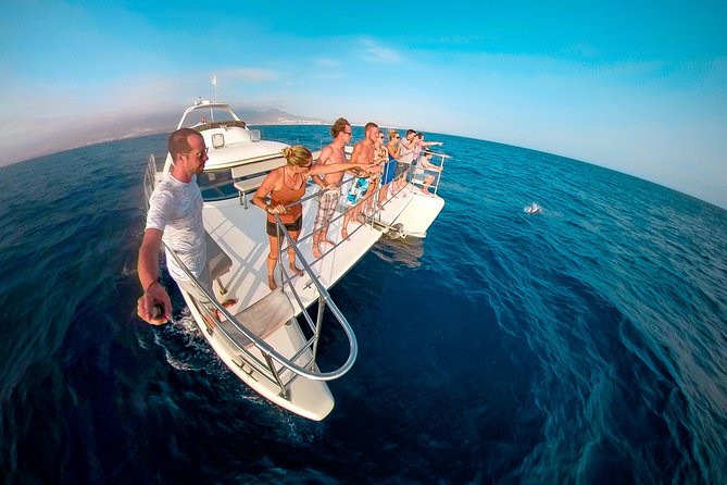 Whale Watching Catamaran Cruise with Transfer, Buffet by MC - Quick Takes: What Makes This Whale Cruise Work So Well