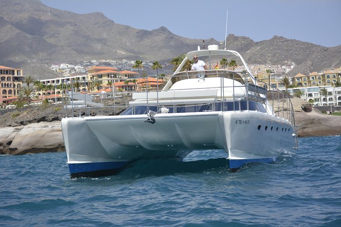 Whale Watching Catamaran Cruise with Transfer, Buffet by MC - Who Should Book This (and Who Might Prefer Something Else)