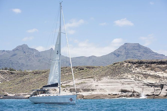 Whales & Dolphins watching in exclusive sailboat - Swim time in clear water, with smart expectations