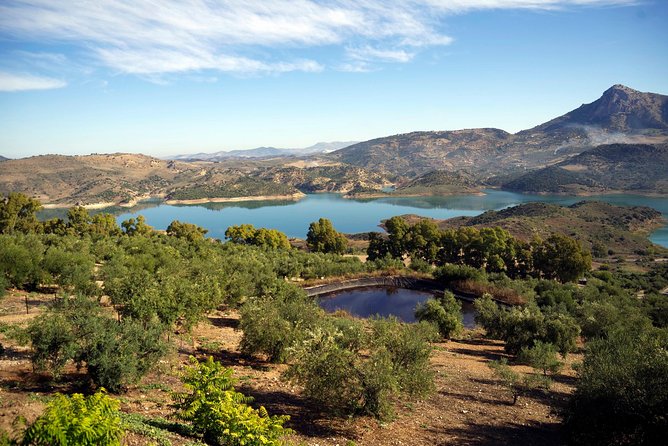 White Villages and Ronda Day Tour from Seville - Key highlights you should know before you go
