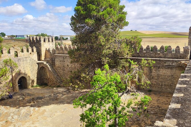 White Villages and Ronda Day Tour from Seville - Ronda on two dramatic cliffs: New Bridge free time and reality check