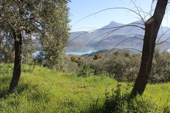 White Villages and Ronda Day Trip from Seville - Optional El Tajo descent: the best angles, plus a reality check