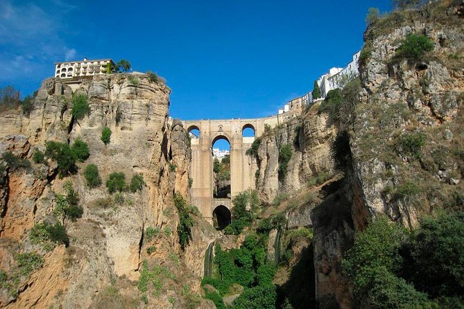 White Villages and Ronda Guided Day Tour from Seville - Price and logistics: what $95.58 really covers